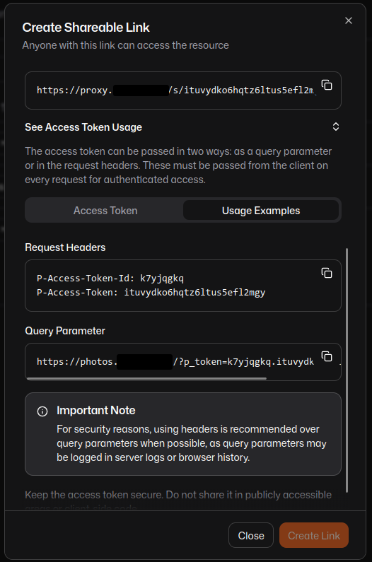 Immich shareable link access token